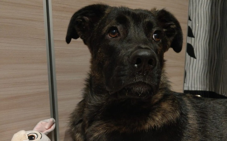 Zbiórka Ratujemy Zosię - zdjęcie główne