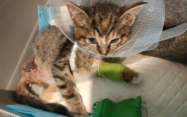 Zbiórka Koci żłobek...malutkie serduszka - zdjęcie główne