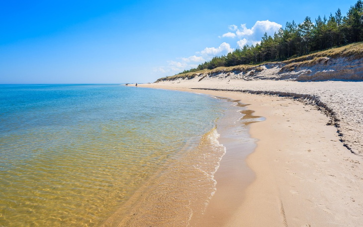 Zbiórka udane wakacje - zdjęcie główne