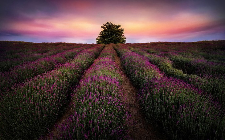 Zbiórka Pomoc w wynajmie - zdjęcie główne