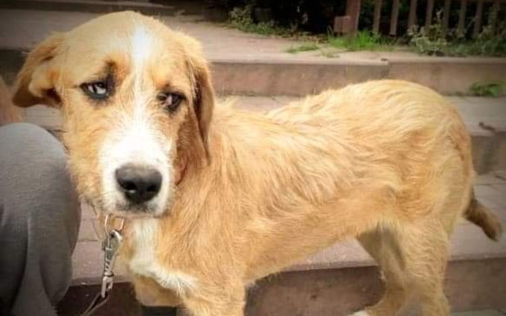 Zbiórka Jeszcze tylko droga do domu. - zdjęcie główne