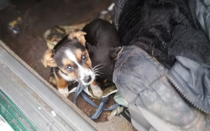 Zbiórka Zamknięte w AUCIE! - zdjęcie główne