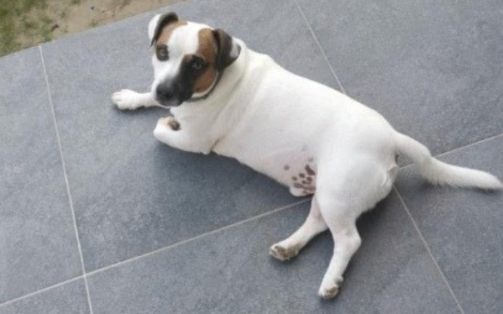 Zbiórka Na leki dla julianka - zdjęcie główne