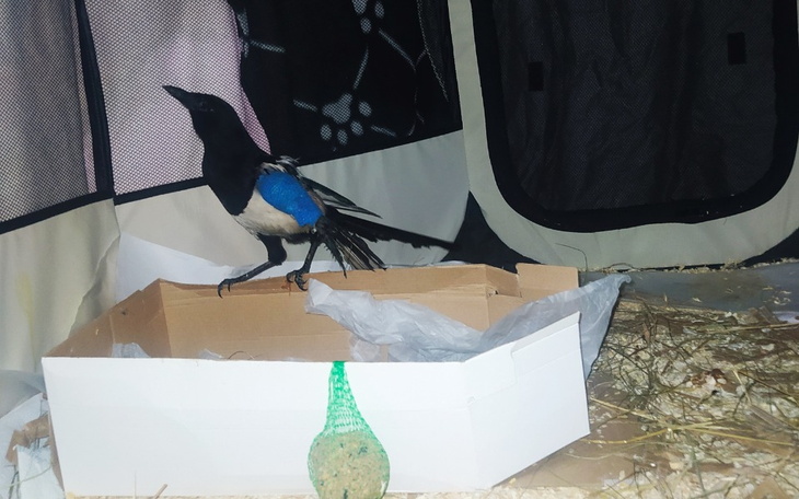 Zbiórka Pomoc dla najmniejszych - zdjęcie główne