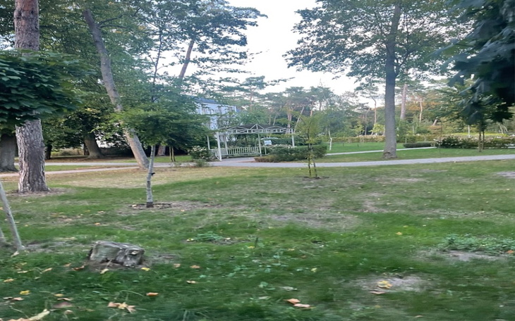 Zbiórka Domki osób niepełnosprawnych - zdjęcie główne