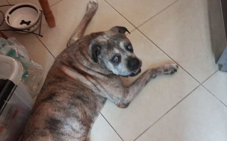 Zbiórka Dajcie nadzieję.. - zdjęcie główne