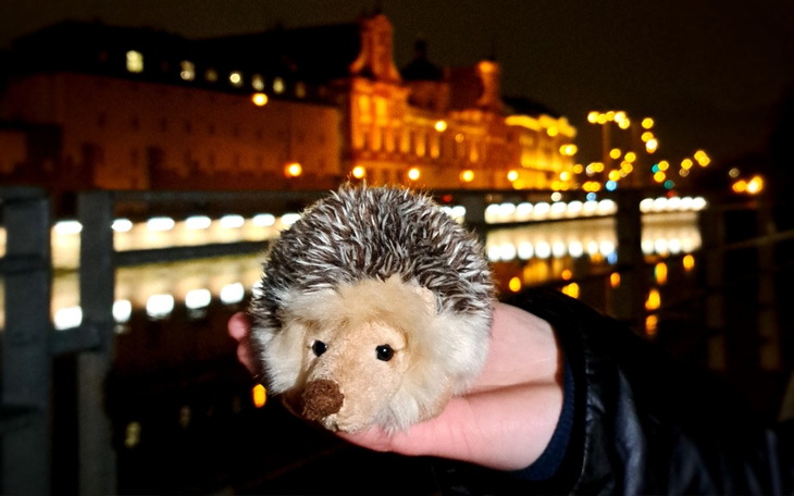 Pluszowy jeż trzymany w dłoni, w tle nocne miasto.
