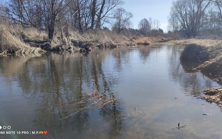 Spokojna rzeka otoczona drzewami w słoneczny dzień.