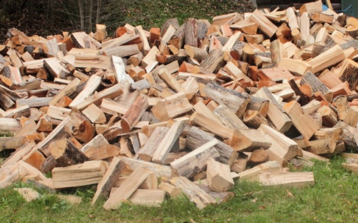 Zbiórka Na drewno na jesień - zdjęcie główne