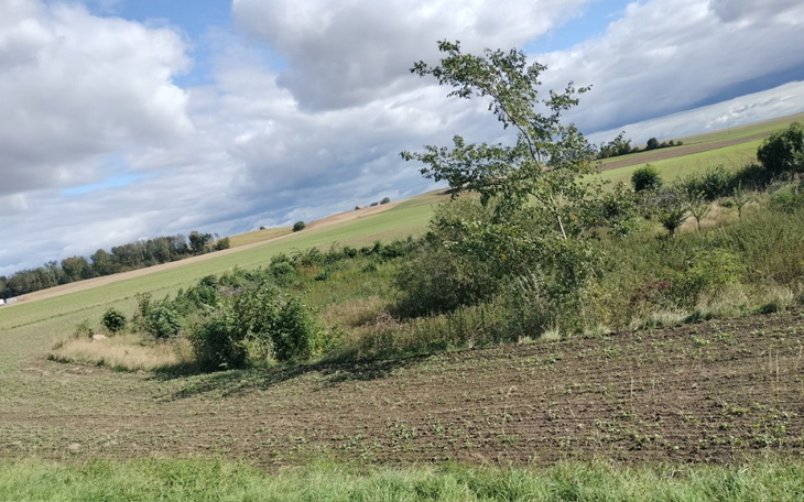 Zbiórka Potop długów - zdjęcie główne