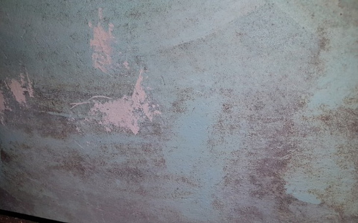 Zbiórka odgrzybianie domu - zdjęcie główne