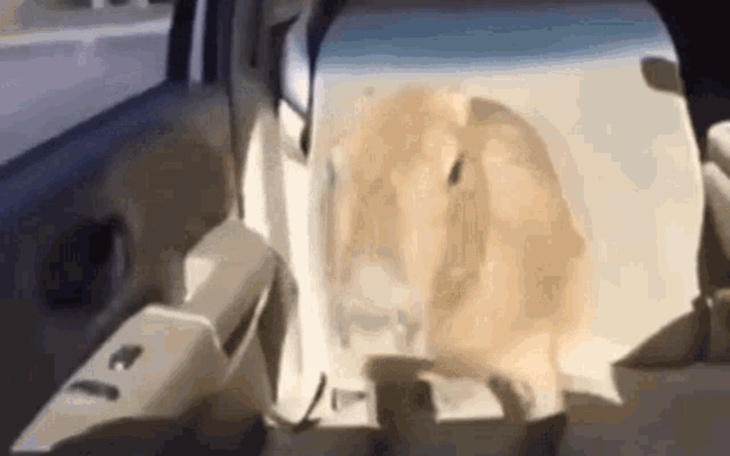 Zbiórka Na życie i karnet do lola - zdjęcie główne