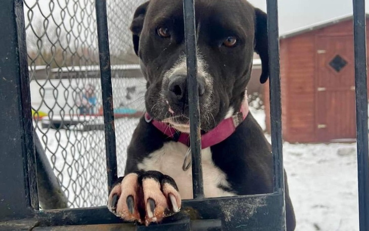 Zbiórka 1zł za 1zł - rozmnożenie pomocy - zdjęcie główne