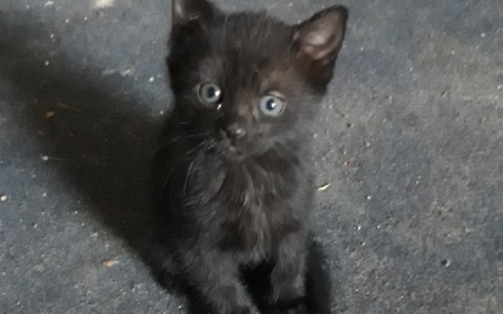 Zbiórka KLARA też chciałaby przeŻYĆ - zdjęcie główne