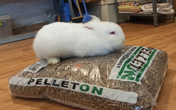 Zbiórka Zbieramy na pellet - zdjęcie główne