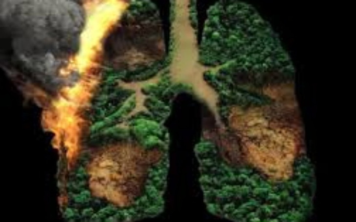 Zbiórka Ratujemy ZIELONE PŁUCA ZIEMI - zdjęcie główne