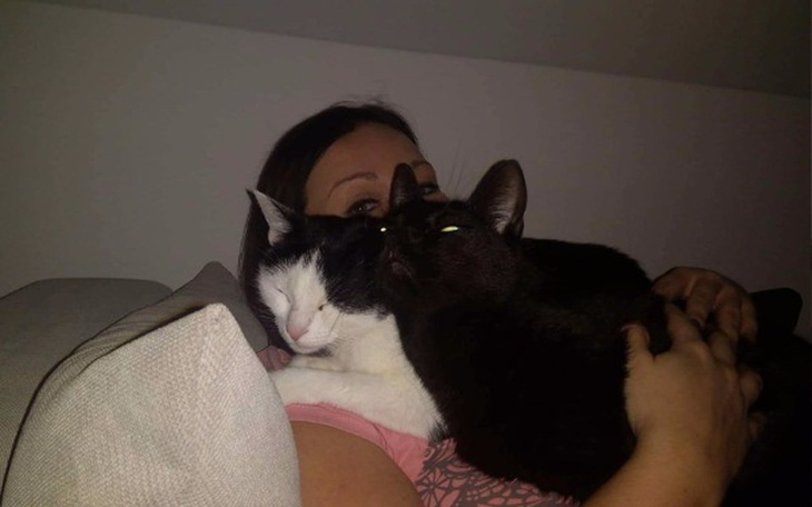 Zbiórka My też stawiamy na łapy! - zdjęcie główne