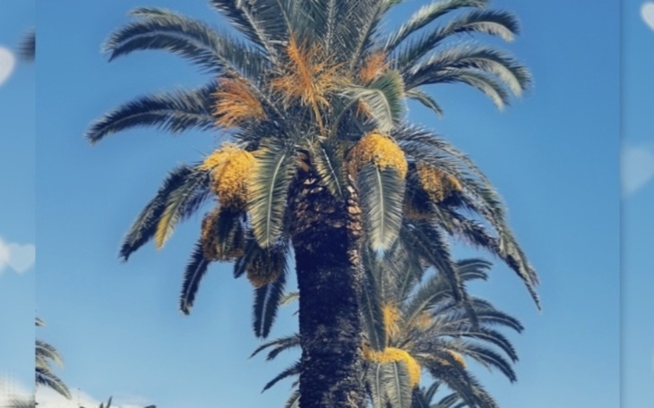 Zbiórka Wakacje 2022 - - zdjęcie główne