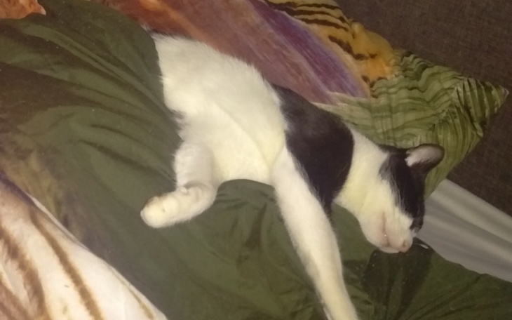 Zbiórka Na wlasny kont - zdjęcie główne