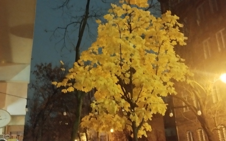 Zbiórka Zbiórka zakonczona - zdjęcie główne