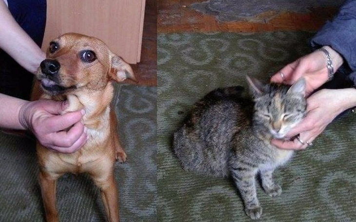 Zbiórka pomóż nam ograniczyć bezdomność - zdjęcie główne