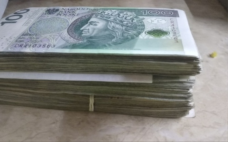 Zbiórka Dom w Rododendronach 23 - zdjęcie główne