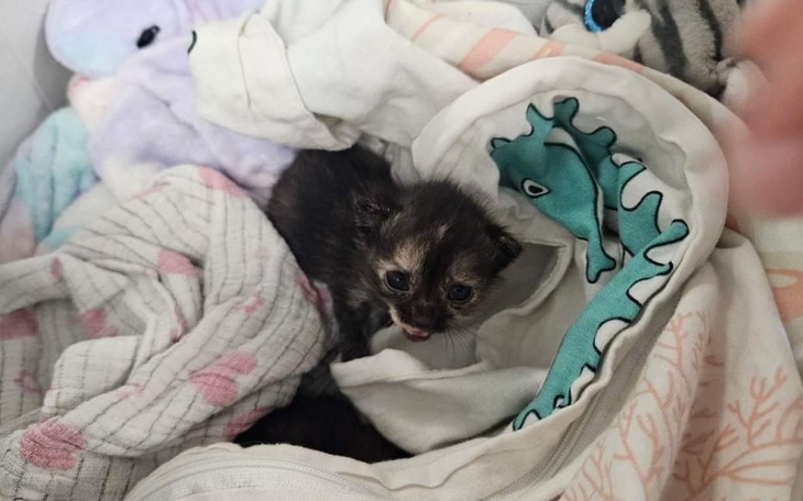 Zbiórka Ofiary ludzkiej ignorancji - zdjęcie główne