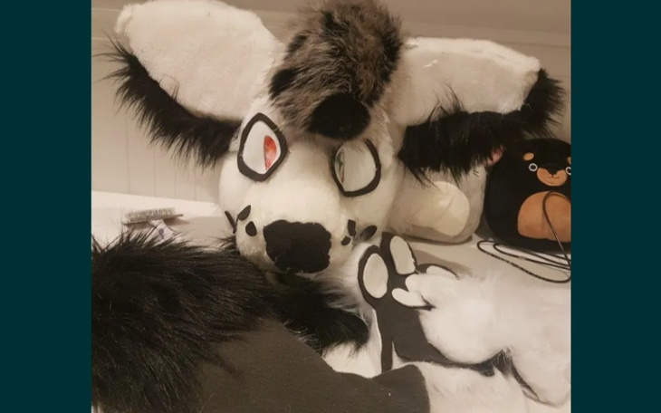 Zbiórka Zbieram na fursuit łapy i head - zdjęcie główne