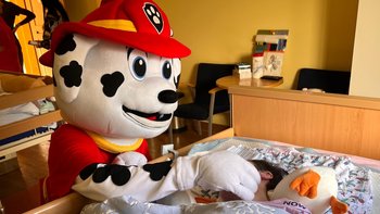 Zbiórka Świąteczna Trasa Marshalla - miniaturka zdjęcia