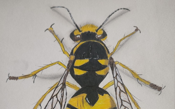 Zbiórka Kurs rysunku fotorealistycznego - zdjęcie główne