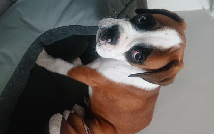 Zbiórka Protez biodra - zdjęcie główne