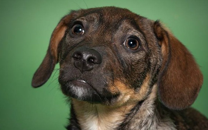 Zbiórka Operacja, albo kalectwo. Pomóż! - zdjęcie główne