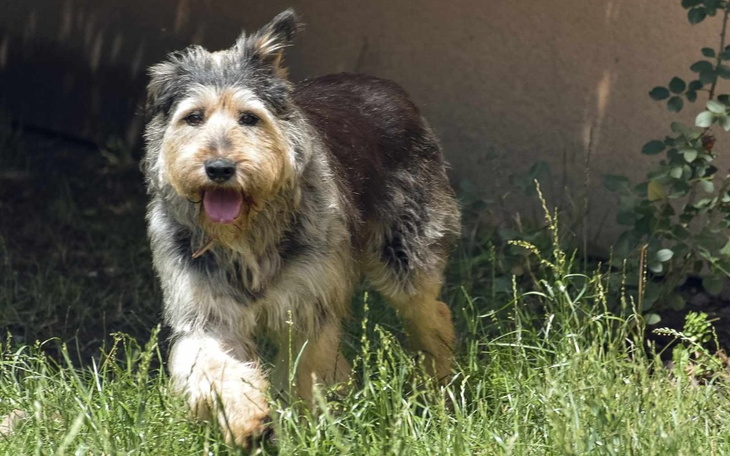 Zbiórka Na transport Gibsona - zdjęcie główne