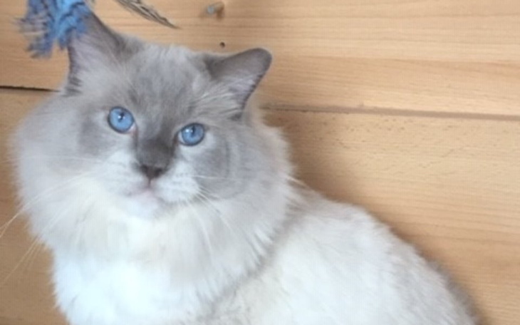 Zbiórka Pomóż Riddickowi.On chce żyć - zdjęcie główne