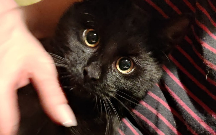 Zbiórka Kajtek umiera - zdjęcie główne