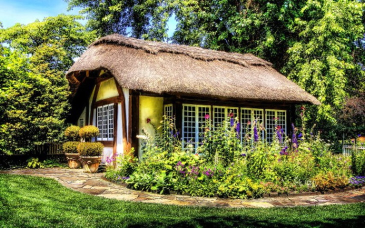 Zbiórka Własne miejsce na ziemi. - zdjęcie główne