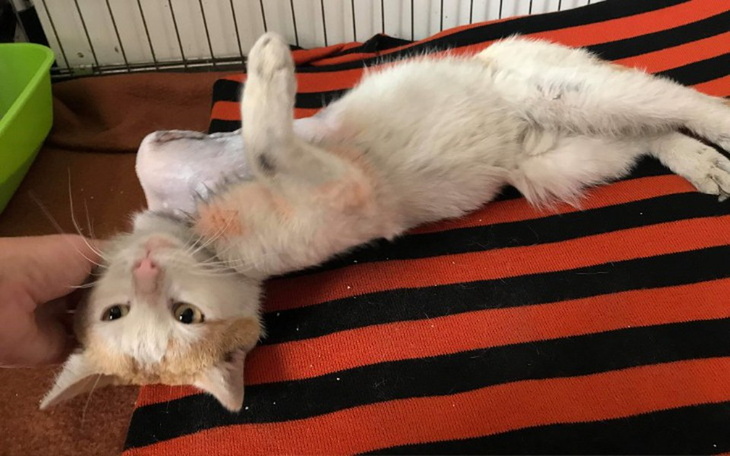 Zbiórka Bodzio - symbol walki i nadziei - zdjęcie główne