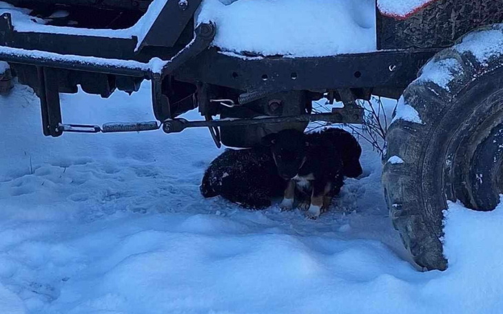 Zbiórka Hotel albo śmierć, one zamarzną - zdjęcie główne