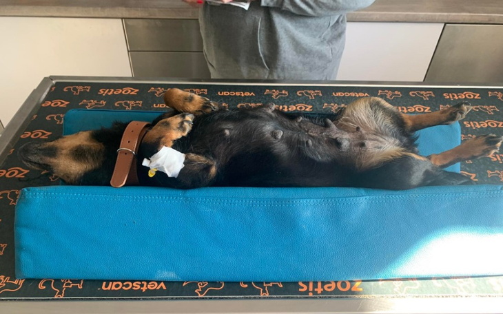 Zbiórka By nikt już nie topił jej dzieci - zdjęcie główne