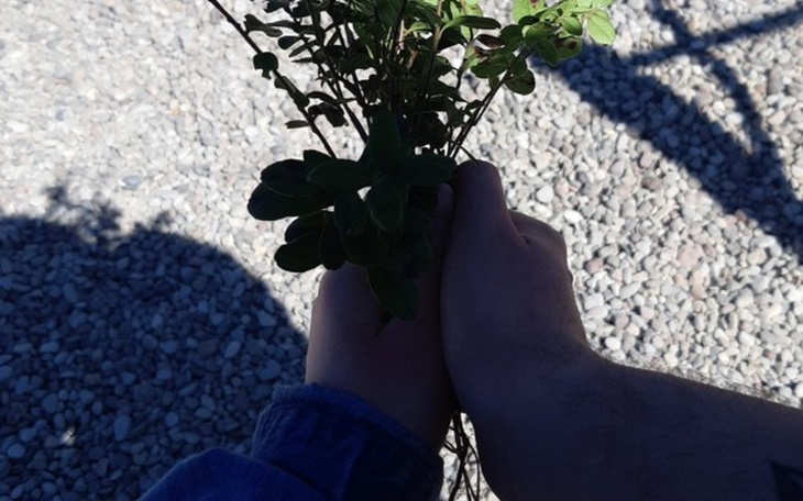 Zbiórka Wakacje/urodziny marzeń - zdjęcie główne