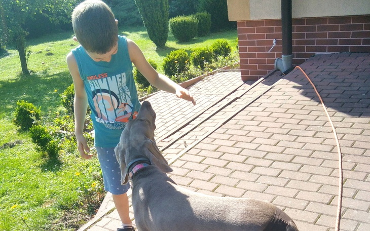 Zbiórka Na zabieg usunięcia 3 migdałka - zdjęcie główne