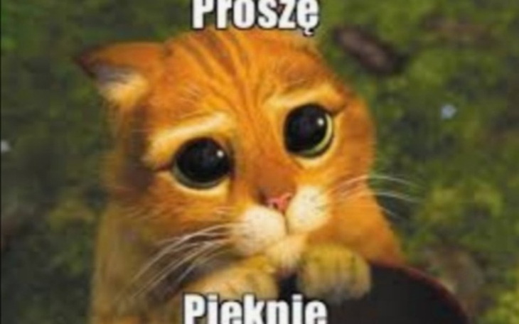 Zbiórka Na jedzenie... I życie - zdjęcie główne