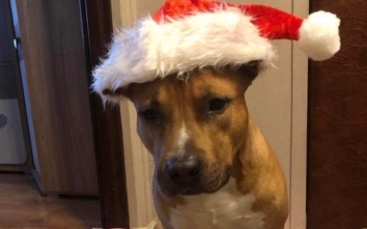 Zbiórka Operacja Bostona - zdjęcie główne