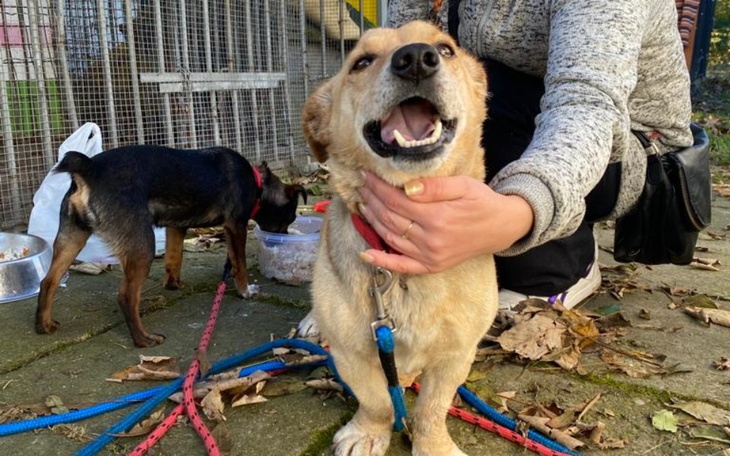 Uśmiechnięta kobieta w otoczeniu jedzenia i przyjaciół.