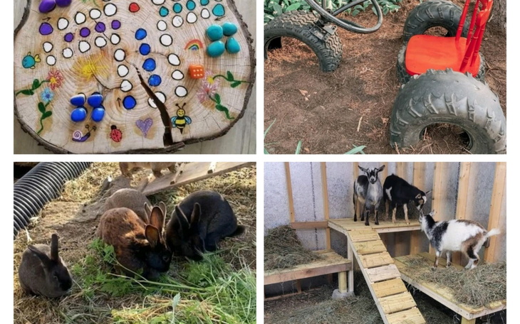 Różnorodne zabawki i zwierzęta na farmie.
