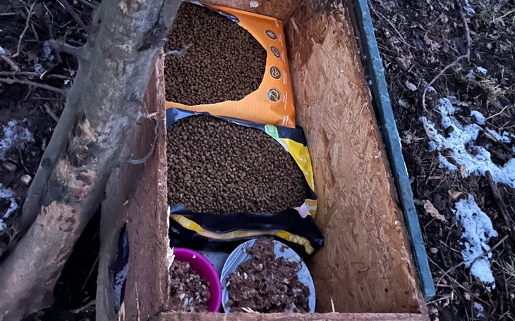 Skrzynka z karmą dla zwierząt w lesie.