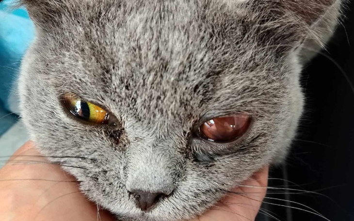 Zbiórka Na walkę o życie Maciusia - zdjęcie główne