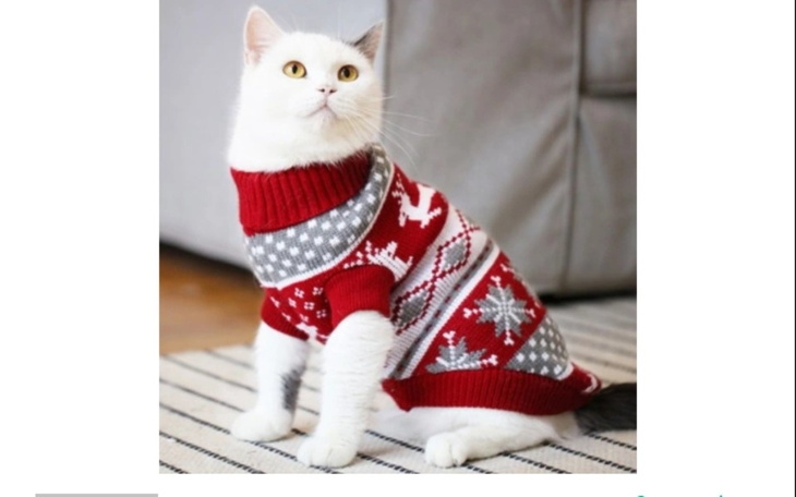 Zbiórka Zbiórka na ubranko dla kotka - zdjęcie główne