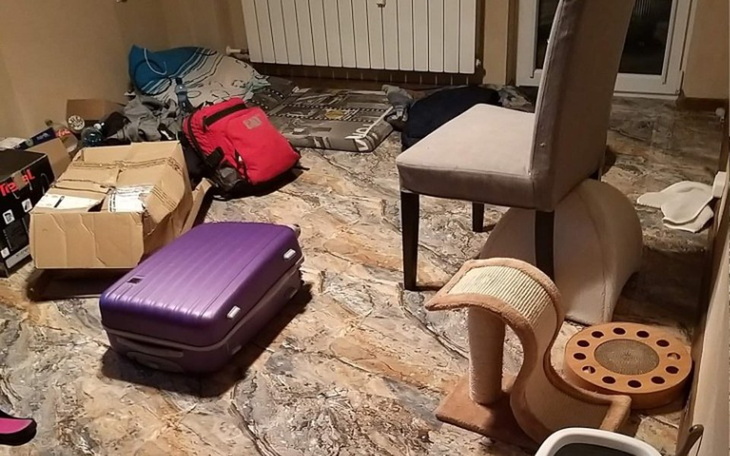 Zbiórka Na remont domu dla zwierząt - zdjęcie główne