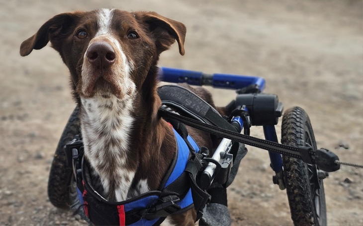Zniszczone wnętrze pożaru z bałaganem.